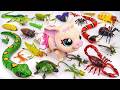 ZURU ROBO ALIVE COLLECTION | UNBOXING Robot Giant Milk Snake creepers, New Robo Alive Little Pet