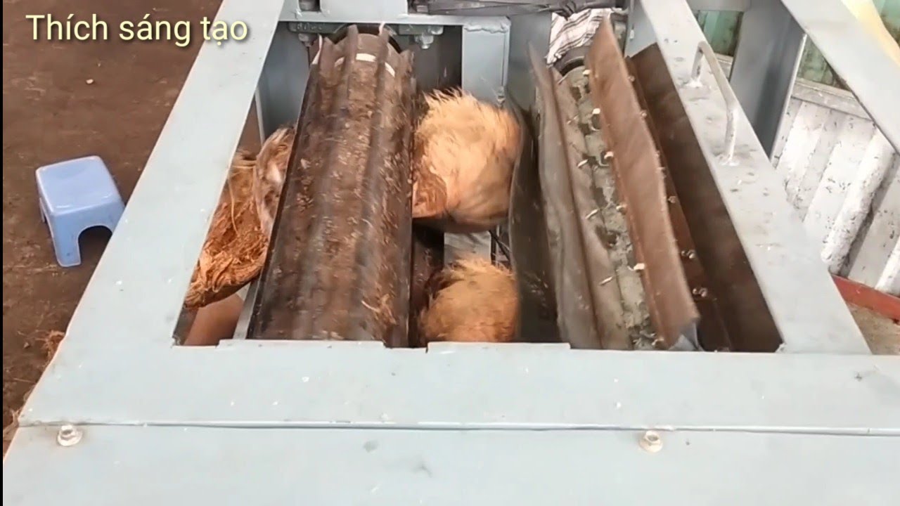 Máy lột dừa mủ công suất lớn - Coconut peeling machine