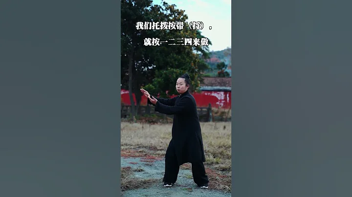 武當太極雲手基礎4-4 。內家拳功夫講究合一，不僅把人的肢體看做成一個整體，還講究套路動作的合一，連綿不斷。 - 天天要聞