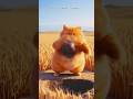🤣Explosive Lunch Plan"#short #trending #funny  #viralvideo #cat #comedy