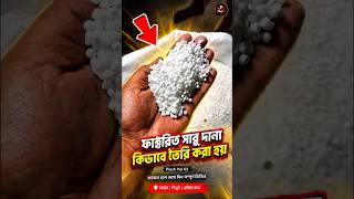🤯👉 Factory Inside |সাবুদানা তৈরির গোপন প্রক্রিয়া!#Sabudana #factshorts