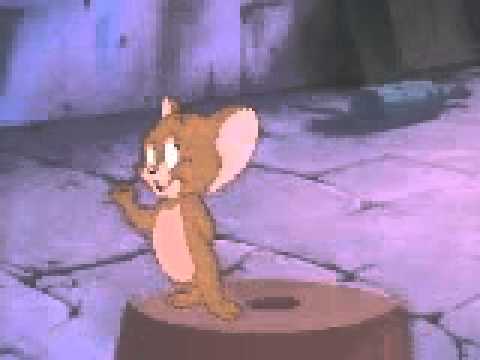 talking tom and jerry video