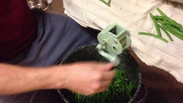 French-Slicing Green Beans