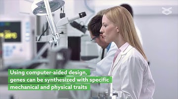 Producing spider silk protein with synthetic biology