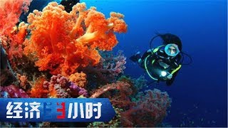《经济半小时》 壮丽70年 奋斗新时代 三沙发展 环保先行 20190514 | CCTV财经