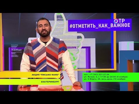 Письмо маме. Выставка бездомных животных в Москве