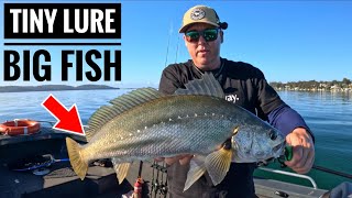 Catching MULLOWAY on a TINY Lure !!!