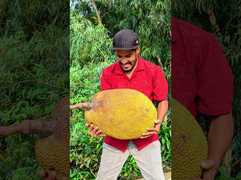 Simple And Shortcut Biggest Jackfruit Cut 🤤 #shorts #trending #food #jackfruit