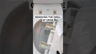 Need To Remove Urine Odors? Try This