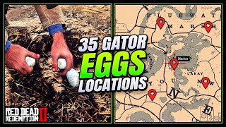 RDR2: Gator Eggs Locations - FAST & EASY Guide (Duchesses & Other Animals Guide)