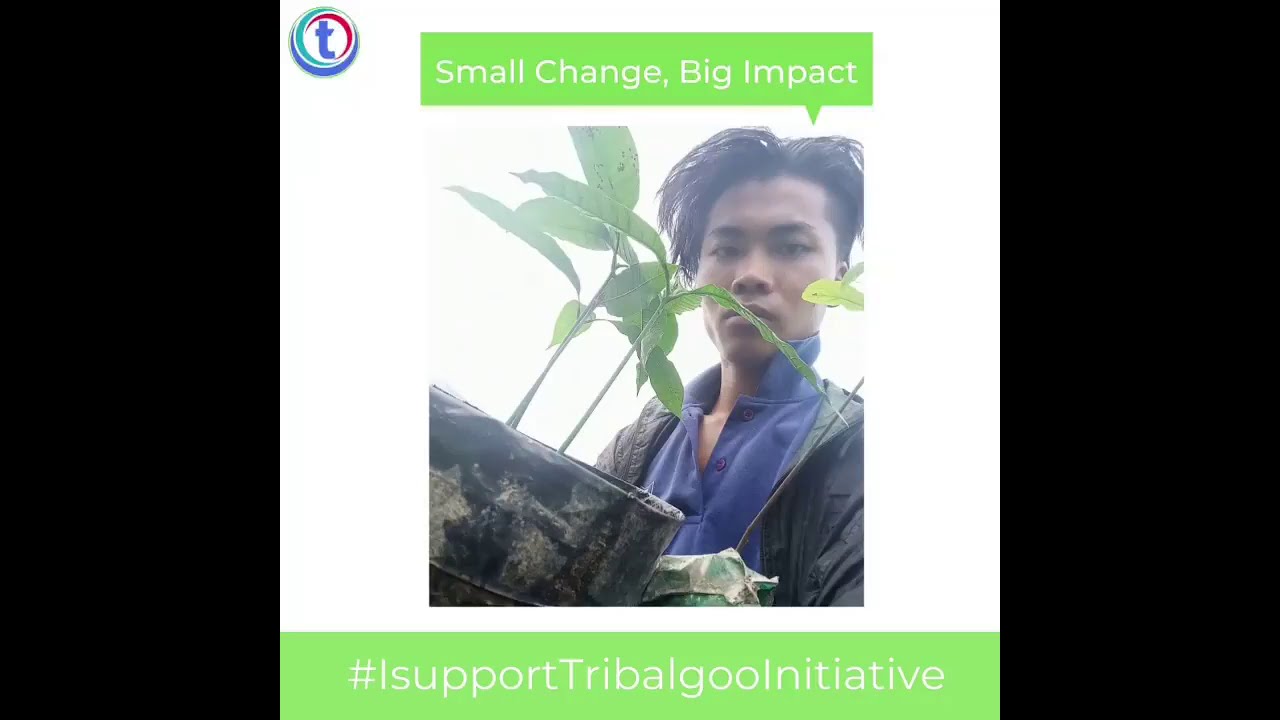Tribalgoo Tree Planting Foundation : Small Change, Big Impact.    