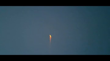 Barely Legal 5" Canister Shell