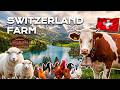 Alpine Agriculture Exposed | Why Switzerland's Farmers Are So Wealthy
