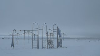 картинка: dobbro в программе 