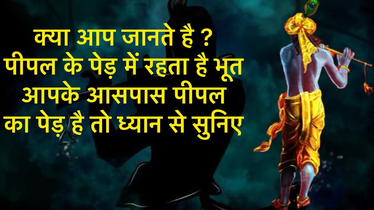 क्या आप जानते है ? पीपल के पेड़ में रहता है भूत आपके आसपास पीपल का पेड़ है तो ध्यान से सुनिए