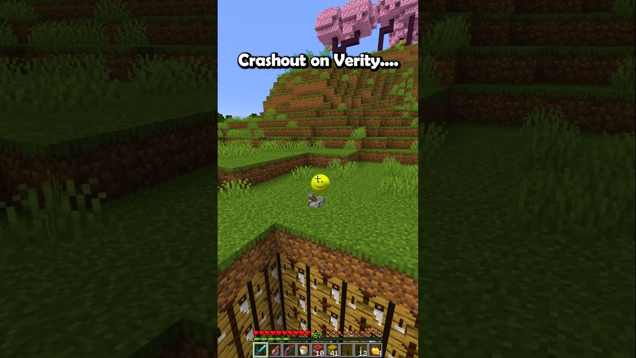 Minecraft Crashout on Verity...🤯