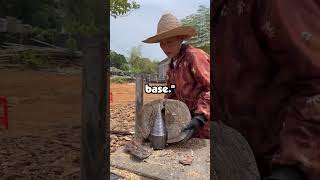 What's the most BADASS thing a private ever said to a general?