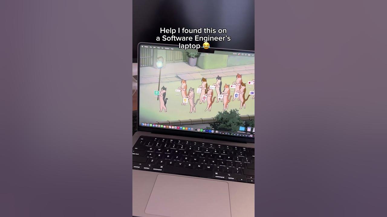 New desktop inspo? 👀😂 #computerscience #coding #python #java #html ...