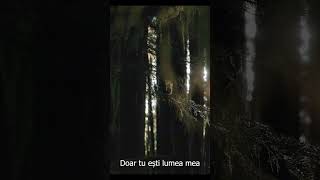 Hituri De Iubire Vol. 3 Ăromânească