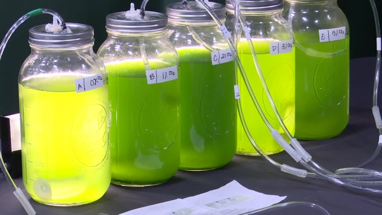 Montana Tech students focus on solutions to environmental problems