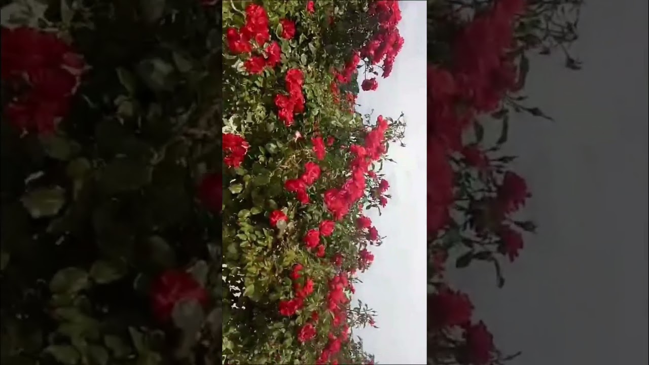 A beautiful place in Australia   