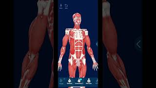 Awesome Apps for your Anatomy & Phys Studies 📚 screenshot 1