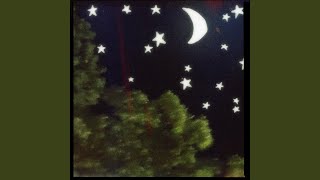 The Night We Met (Sped Up) - REIGN