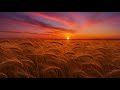 Revive Me Music - "My Jehovah Jireh" - (Official Lyric Video)