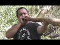 Didgeridoo Dave Booth