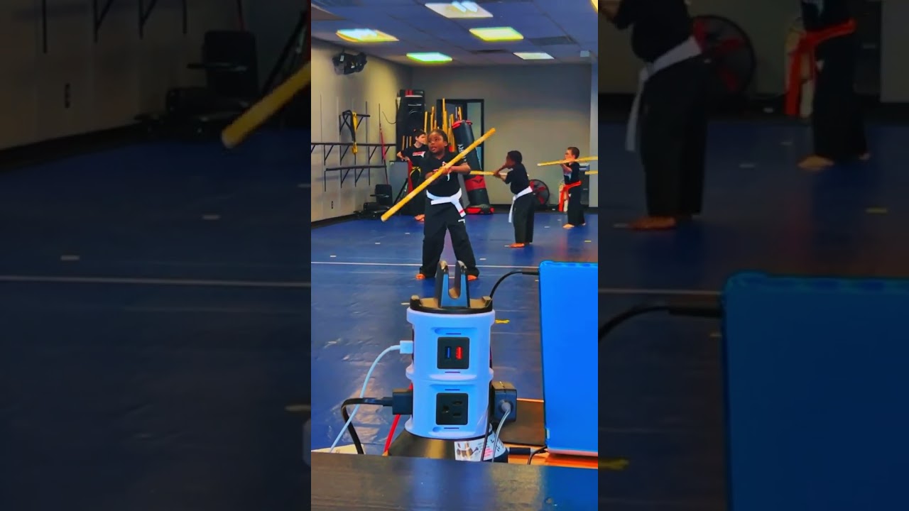 Kids Taekwondo and Karate Lessons  