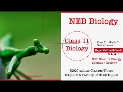 ネパールのクラス11生物学第1章、生物学動物学入門ch 1#class11グレード11生物学NEB