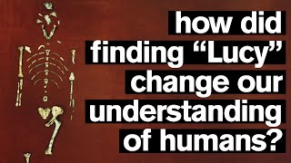 What did we learn from "Lucy" ? w/ Donald Johanson | Ask An Anthropologist ASU Information
