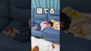 姉のいぬ間に…　#赤ちゃんのいる生活