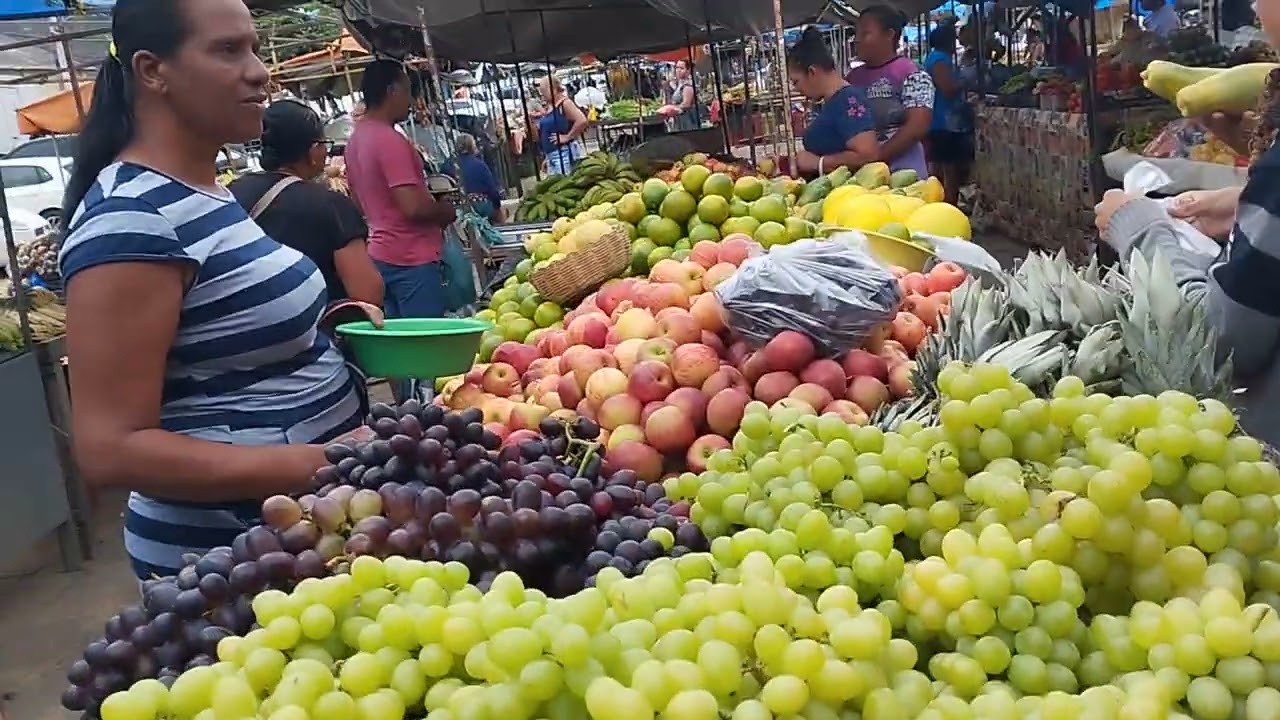 fera livre de. jacobina