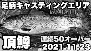 【No Music】キャスティングエリア　連続50オーバーの奇跡！？