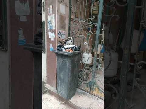 الرحمه حلوه   السعوديه الكويت اسبونج