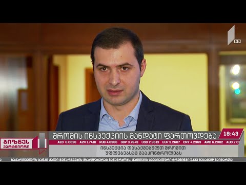 შრომის ინსპექციის მანდატი ფართოვდება