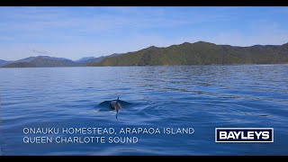 Onauku Homestead, Arapaoa Island