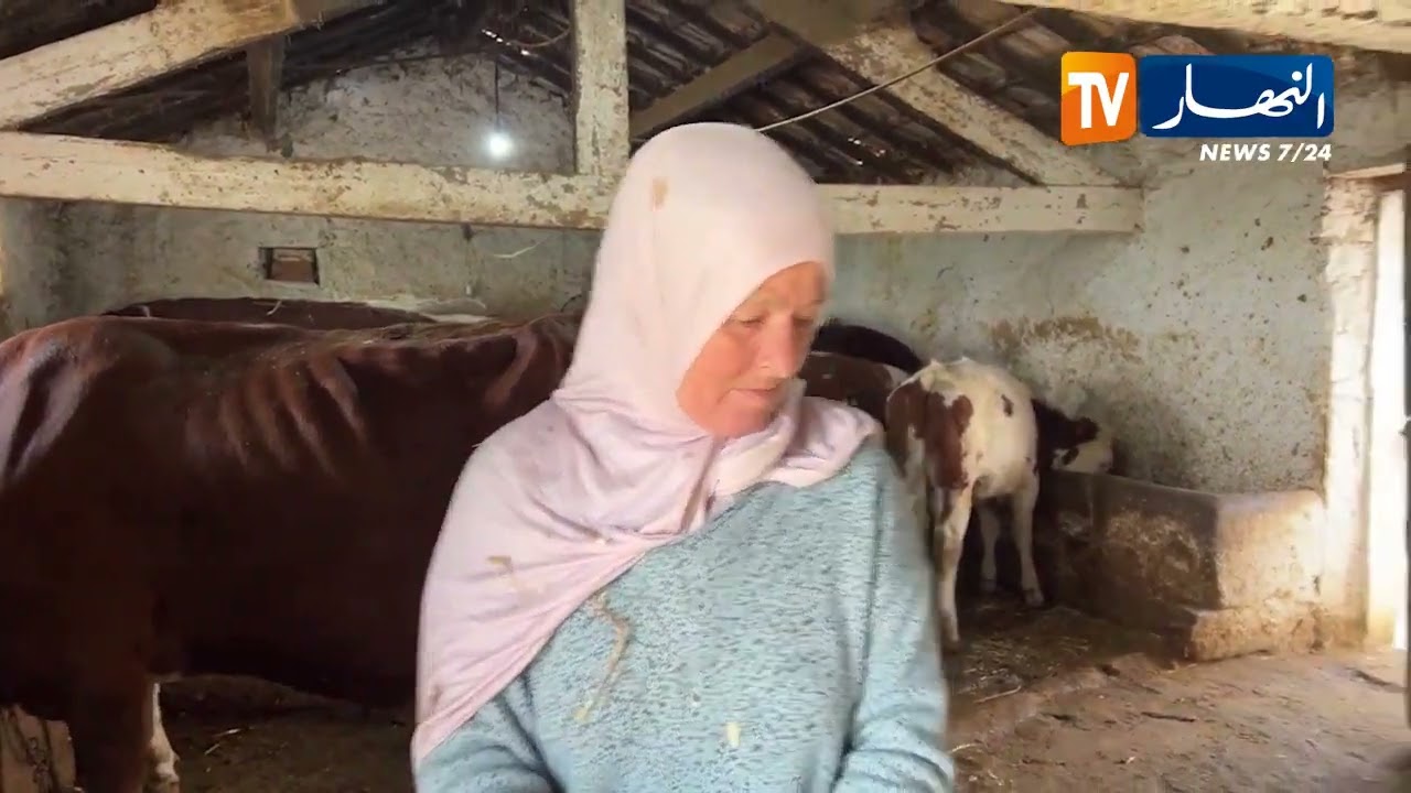 سوق أهراس: آسيا ..  امرأة ريفية تصنع من الأرض قصة كفاح وإصرار