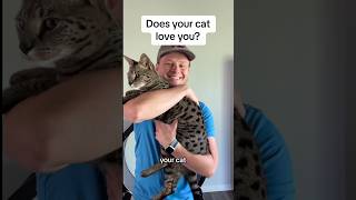 Does your cat love you?  How many did you get? #cat #catvideos #catlover