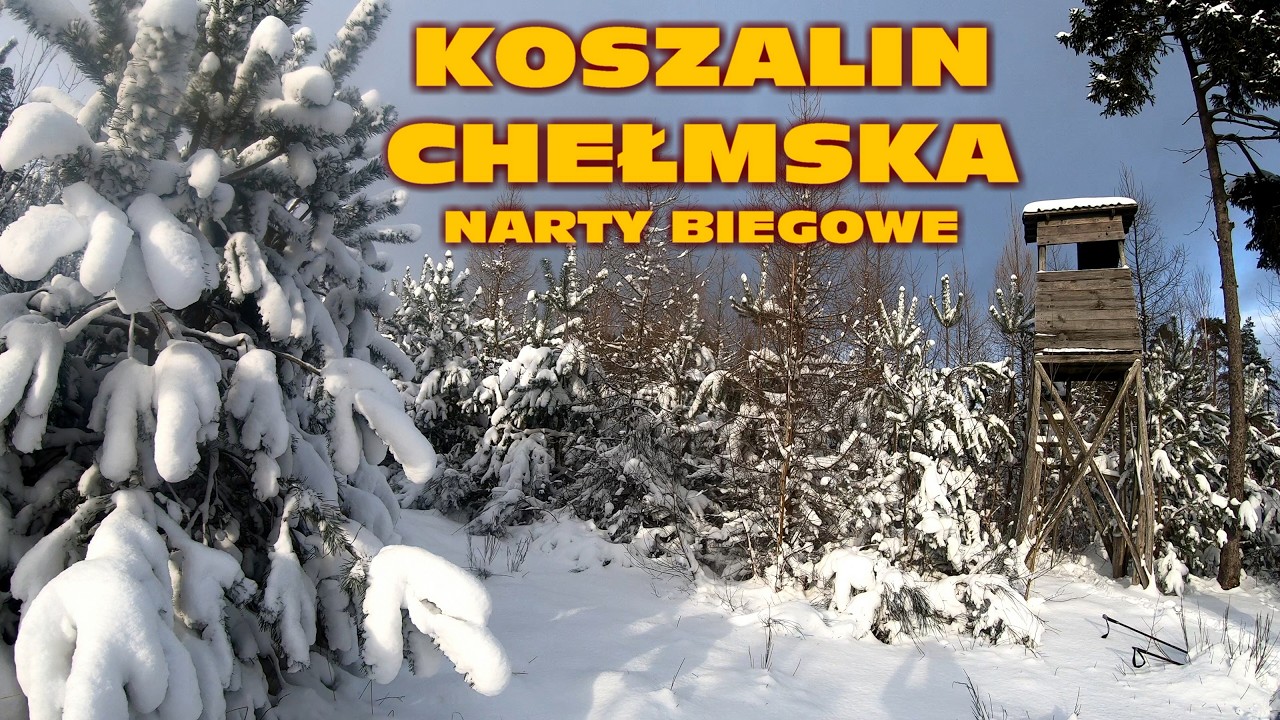 KOSZALIN CHEŁMSKA - NARTY BIEGOWE | CROSS-COUNTRY SKIING AROUND CHEŁMSKA - 4K