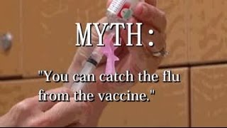 Flu Myths Busted