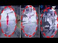 Cow attacks woman in Haryana’s Hisar, video goes viral