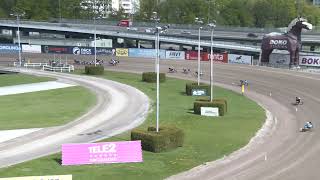 Lopp 5 ponnylopp 2026-05-17
