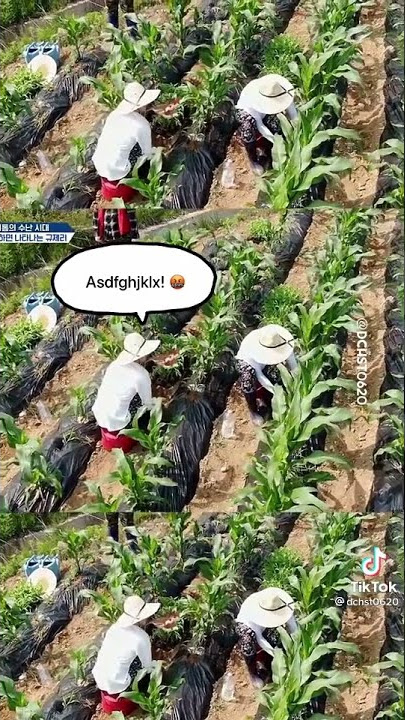 kompor banget #kyuhyun untung #yesung masih sabar tuh😭😂 #shindong