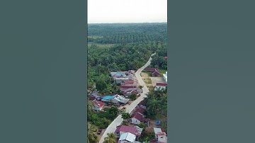 JALAN ANTAR DESA DI KABUPATEN PASER KALIMANTAN TIMUR SAAT INI SEMAKIN MULUS#shorts