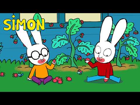 These Strawberries Are Ours! 🍓 Simon | Full episodes Compilation 30m S5 | Cartoons for Kids