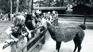 A Brief History of The Greensboro Science Center
