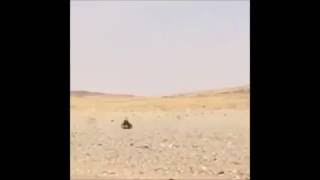 This Is How Hot It Is In Saudi Arabia. Cartoon Version