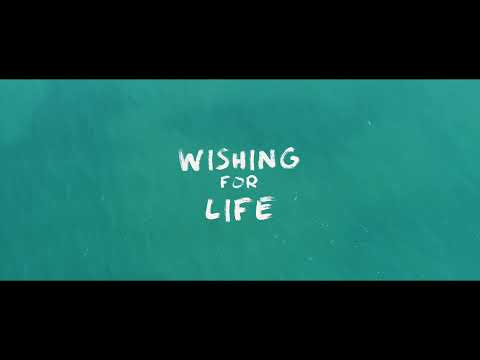 Omnimar - Wishing For Life